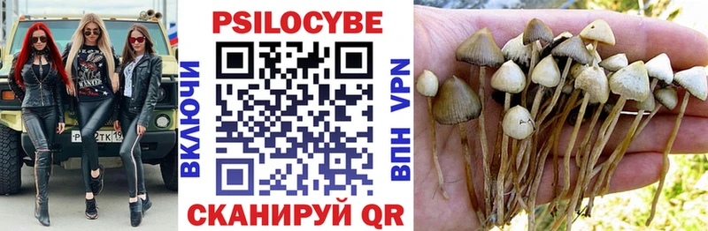 Псилоцибиновые грибы прущие грибы  Ковылкино 